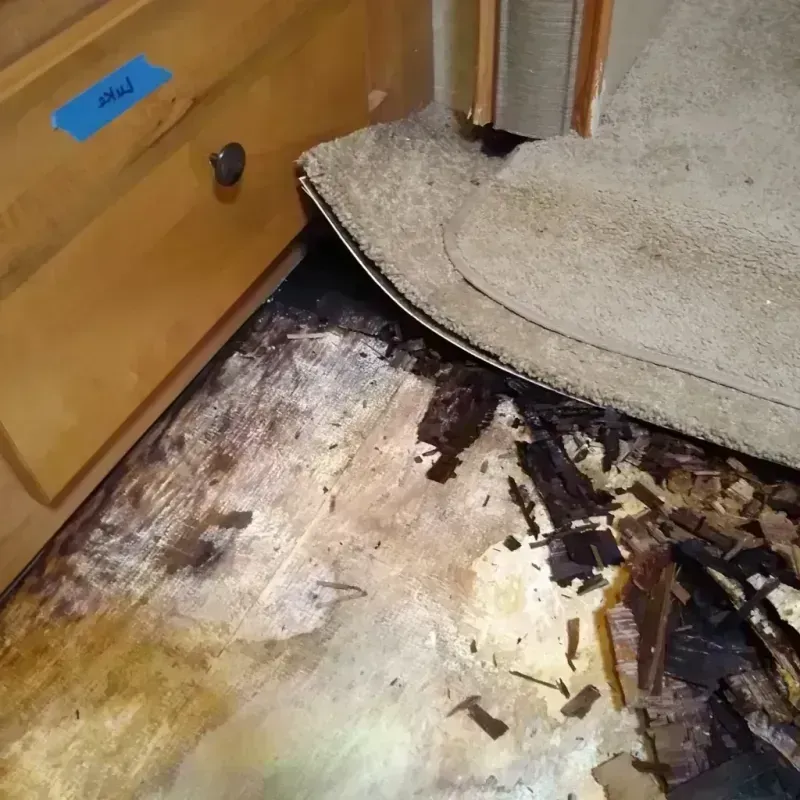 Wood Floor Water Damage in Calhoun County, MI